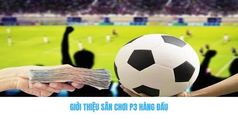 Giới thiệu sân chơi P3 hàng đầu